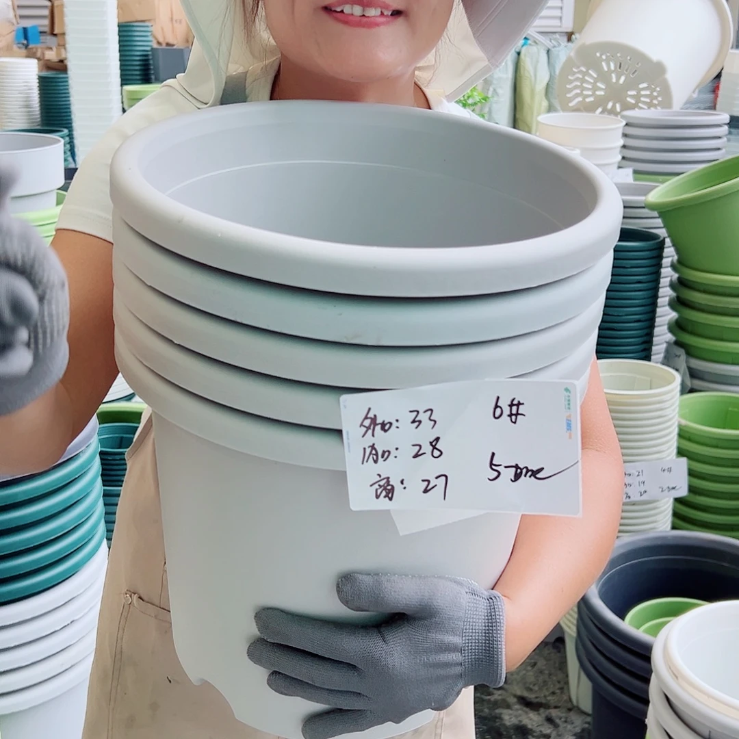四季盆6#灰白色5个无托
