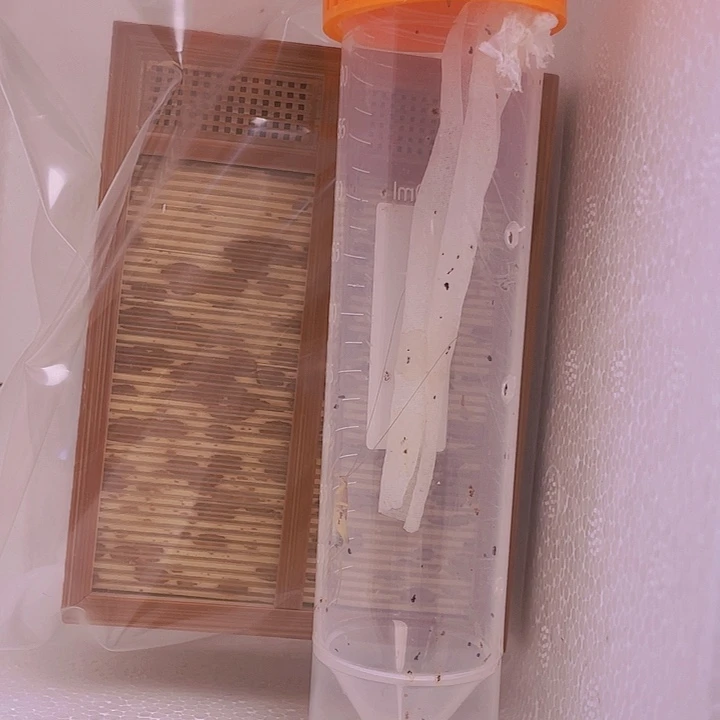 疯***狂双格盒+烈焰1啊啊啊啊啊