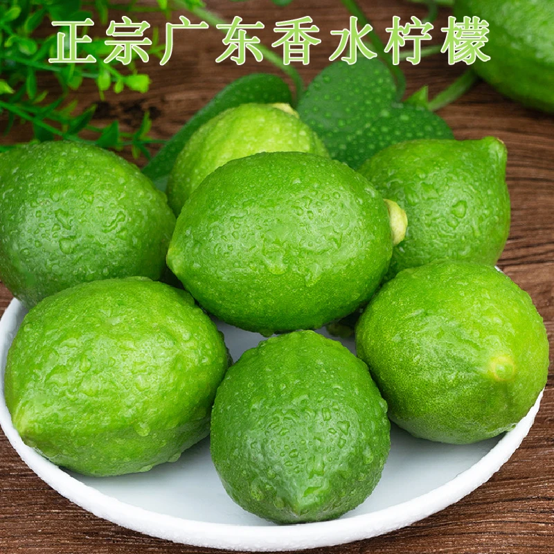 广东新鲜无籽香水柠檬清香多汁可榨汁切片泡水饮品果香浓郁维C