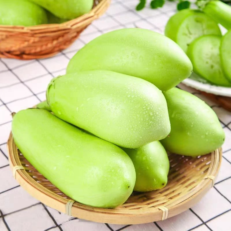农家自种新鲜青茄子鲜嫩现摘现发