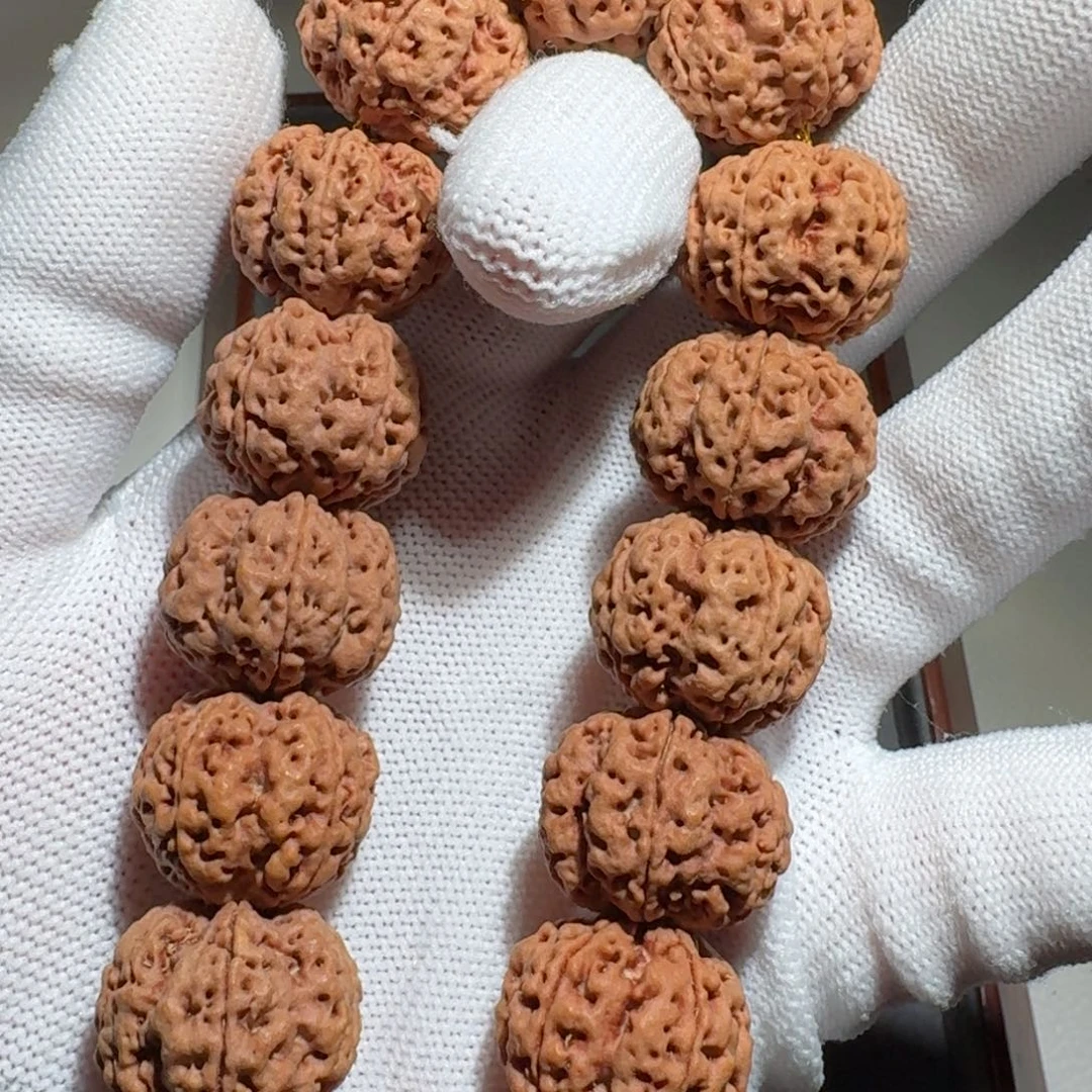 金刚菩提吊坠粗筋梅花双龙20