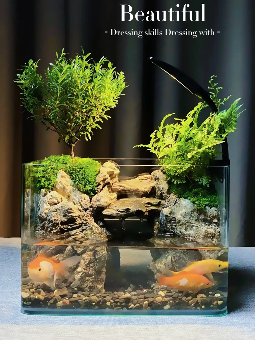 高山流水一满天星罗汉松创意桌面微景观，25*16*18