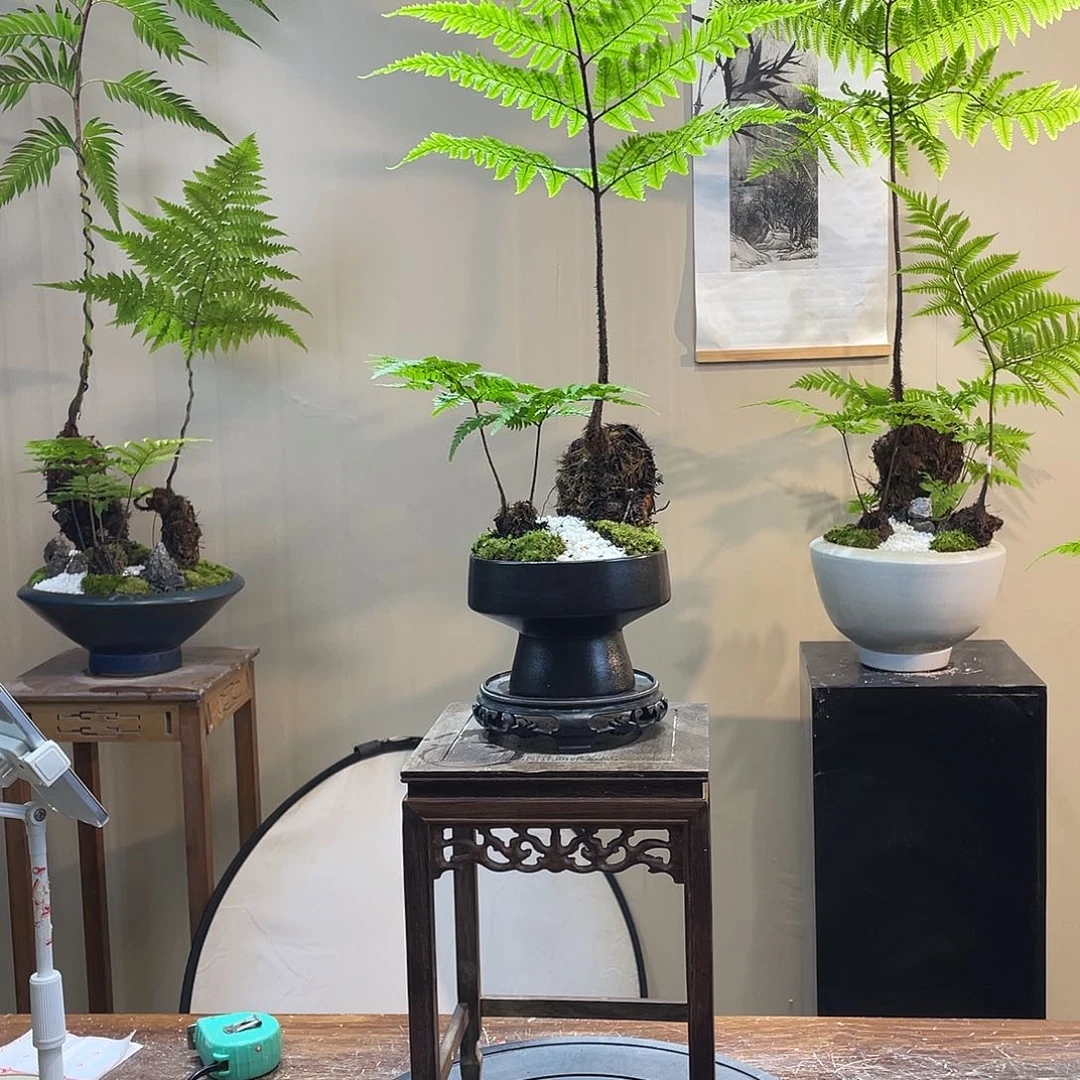 【闪购商品】祁****装