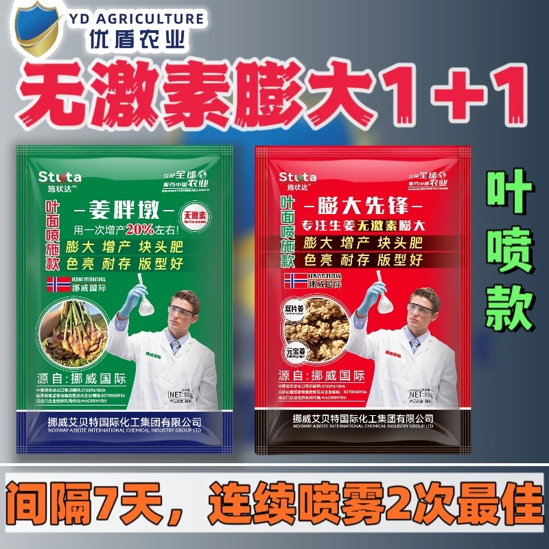 生姜增产生姜膨大配方生姜块茎增大膨大生姜膨大增产生姜控旺膨大