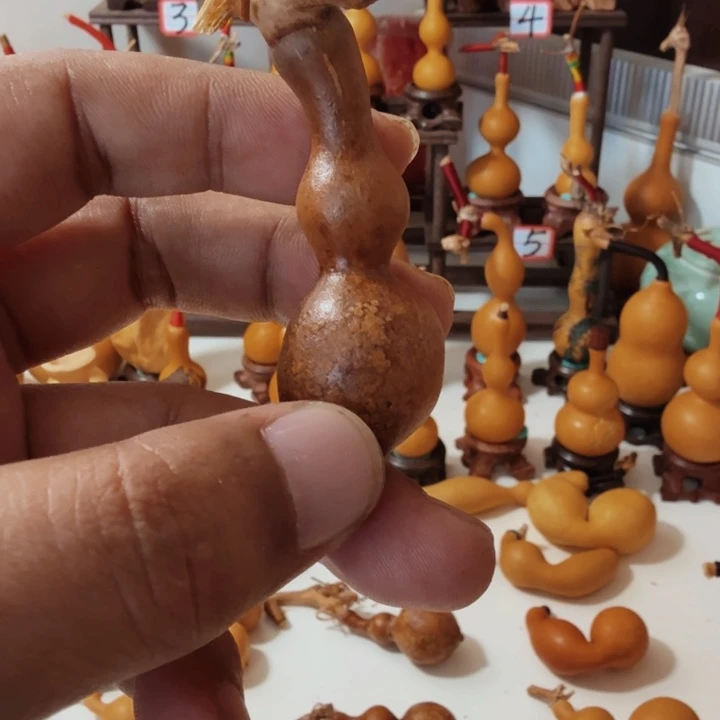 硕*这个世界没有什么