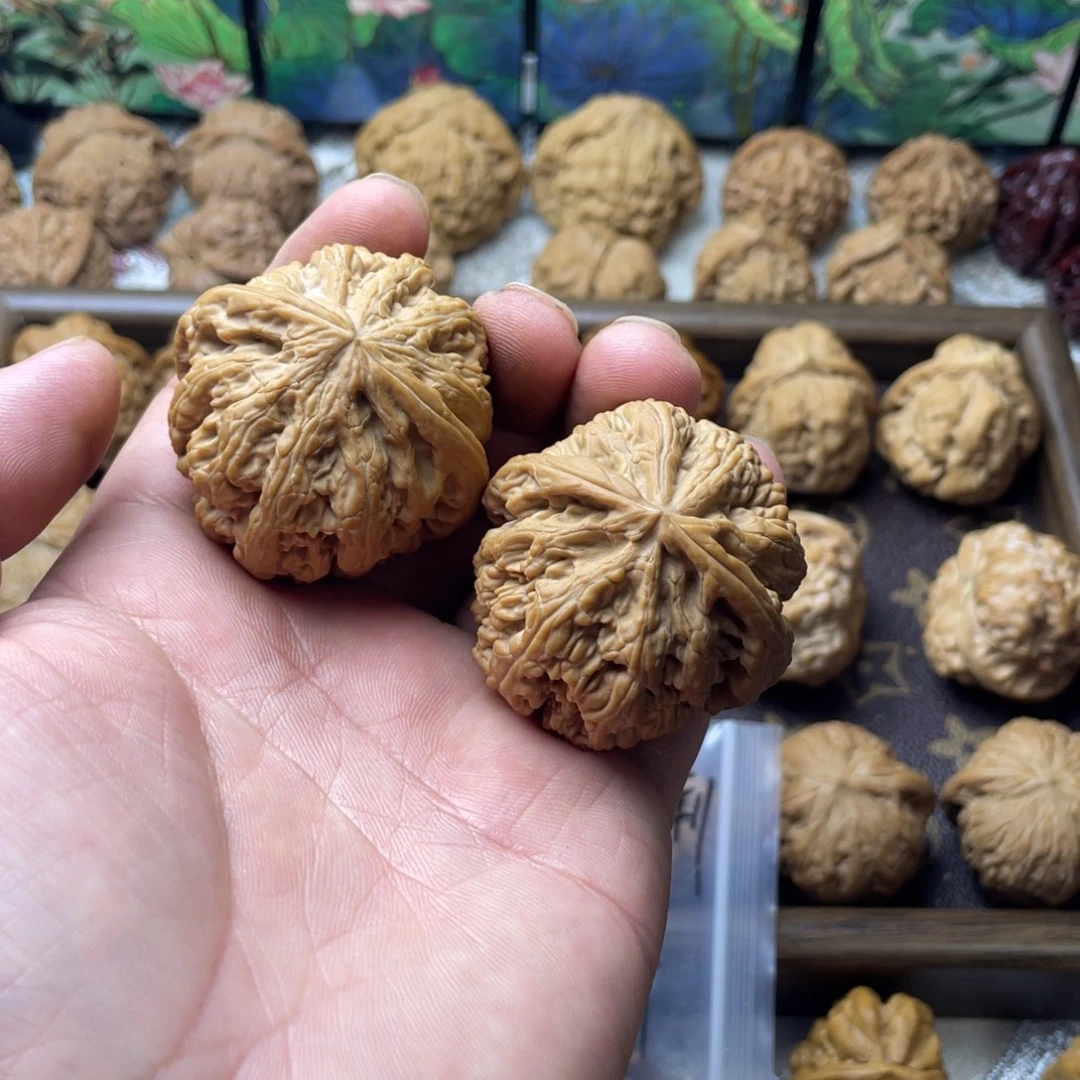 富***足核桃手串/手链粗筋45头货
