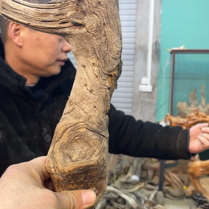 用****9我们都是好孩子呀