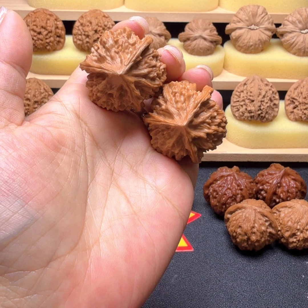 核桃38尺红马蹄三楞