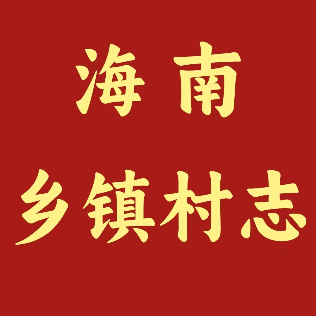 海南省 乡、镇、村志（正版 二手 8成新）