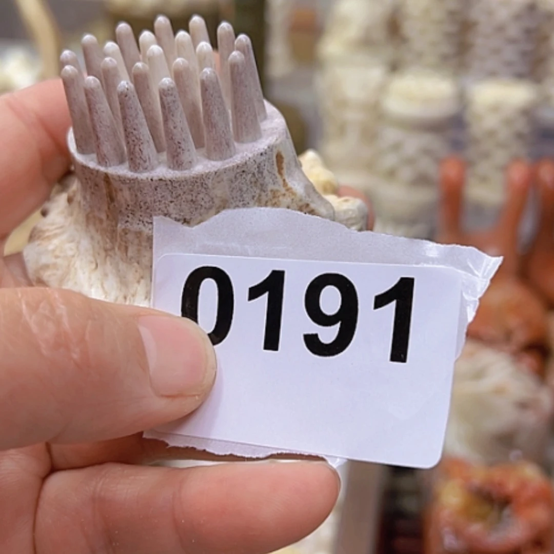 【闪购商品】砖雕少****子鹿角特价处理