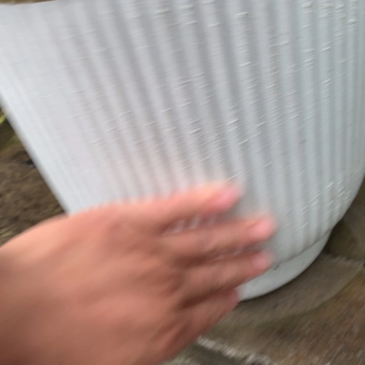 花盆里的小猫咪们都好可爱啊哈哈哈哈哈哈哈