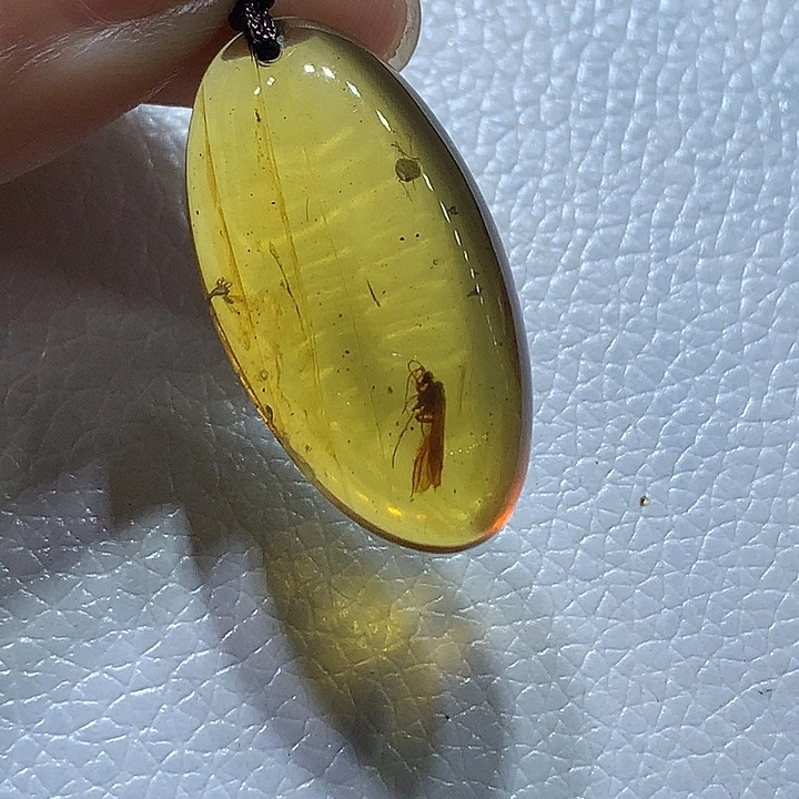琥珀颈饰未镶嵌石蛾