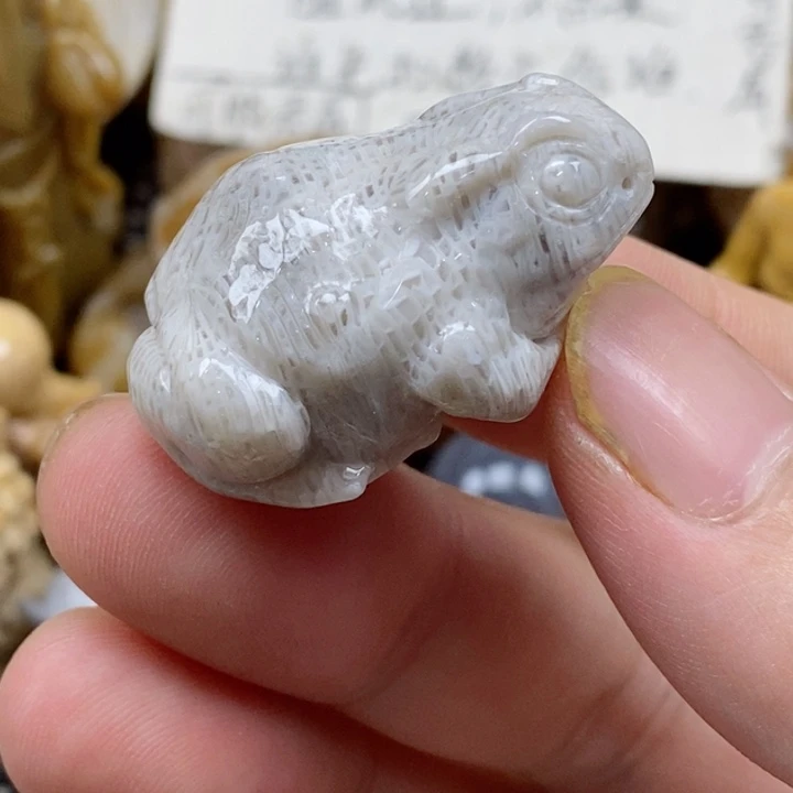 颈饰未镶嵌硅化珊瑚（珊瑚玉）小摆件