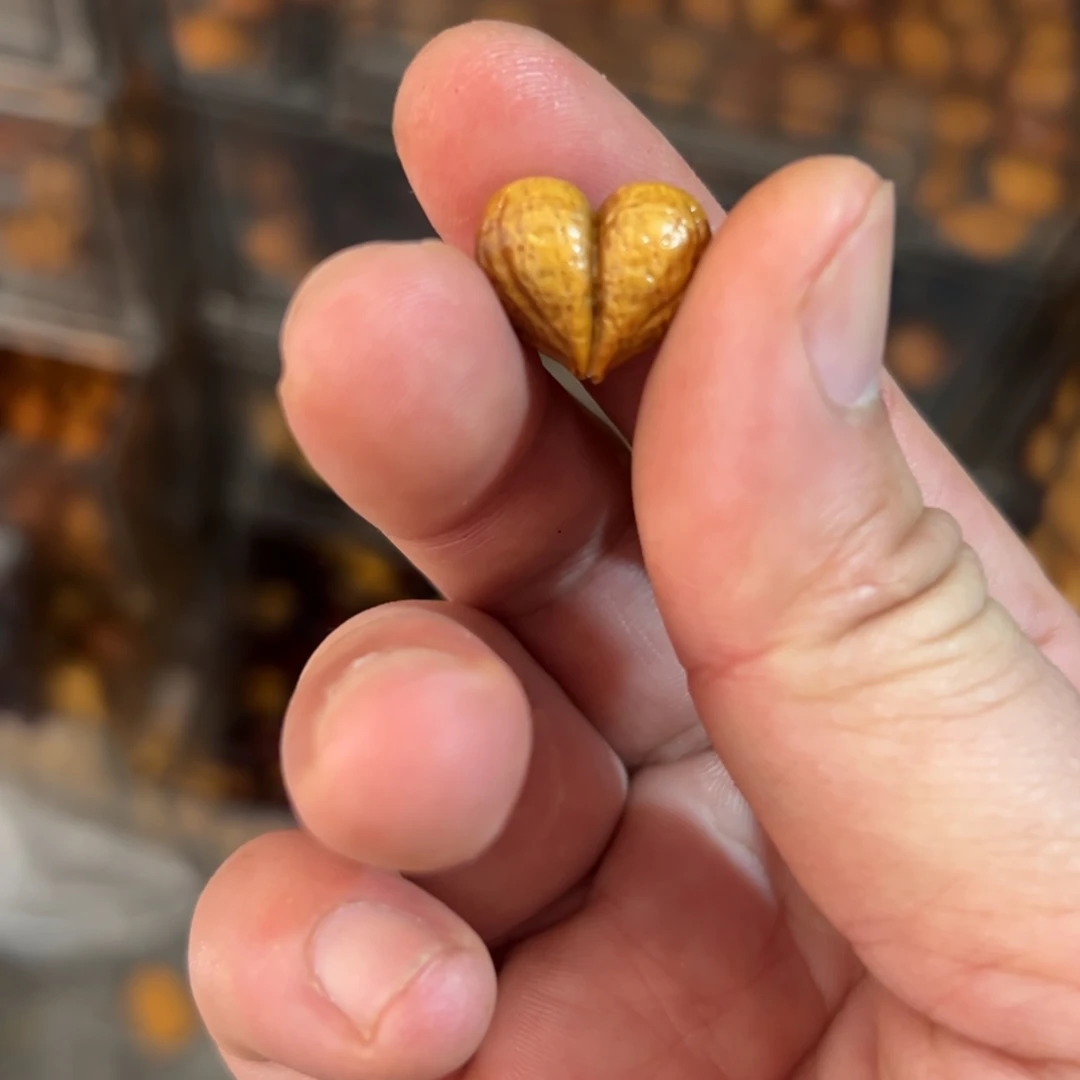 非洲紫檀（红花梨）