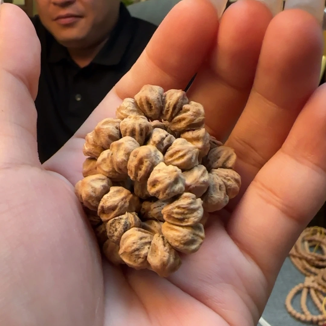 柏香籽/百香籽手串手持