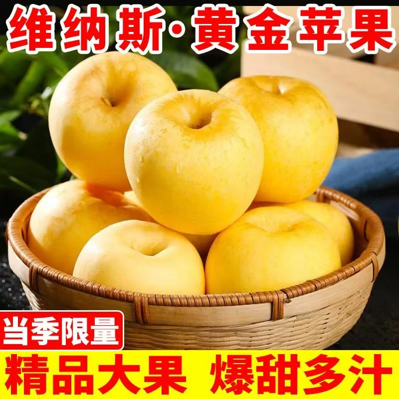正宗烟台栖霞黄金维纳斯金苹果新鲜脆甜
