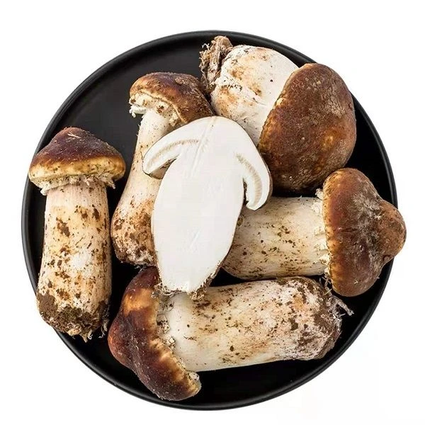 鲜松茸约200g/份松茸