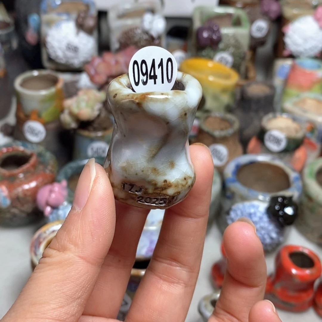 ?****萌拍5送一个小礼物