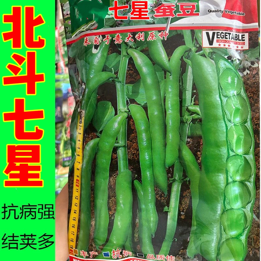 七星剑蚕豆种子耐寒胡豆籽白花黑脐丰产兰花豆罗汉豆农家秋冬季播