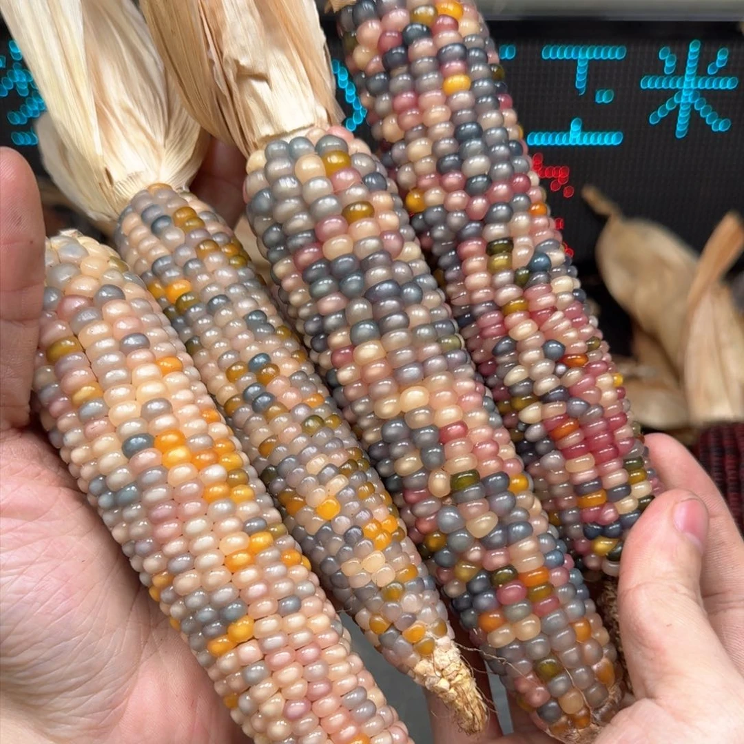 柏香籽/百香籽吊坠星****r