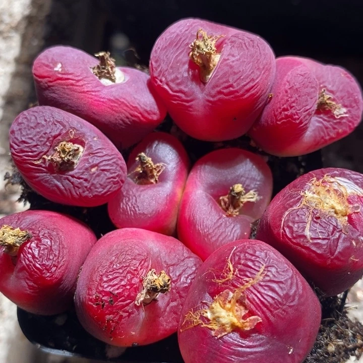 27226一组一组一组