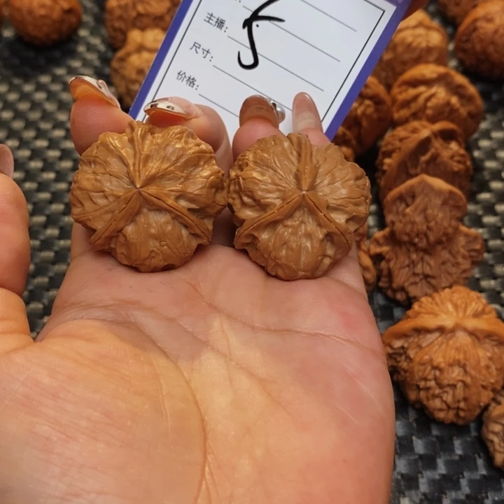 文玩核桃把件5555