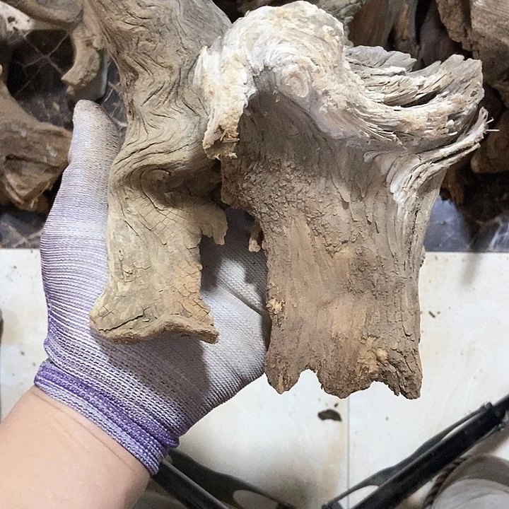 柏木硬**敵陈化到位坨坨疙瘩