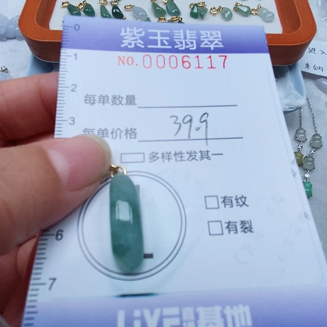 颈饰未镶嵌翡翠飘花随行