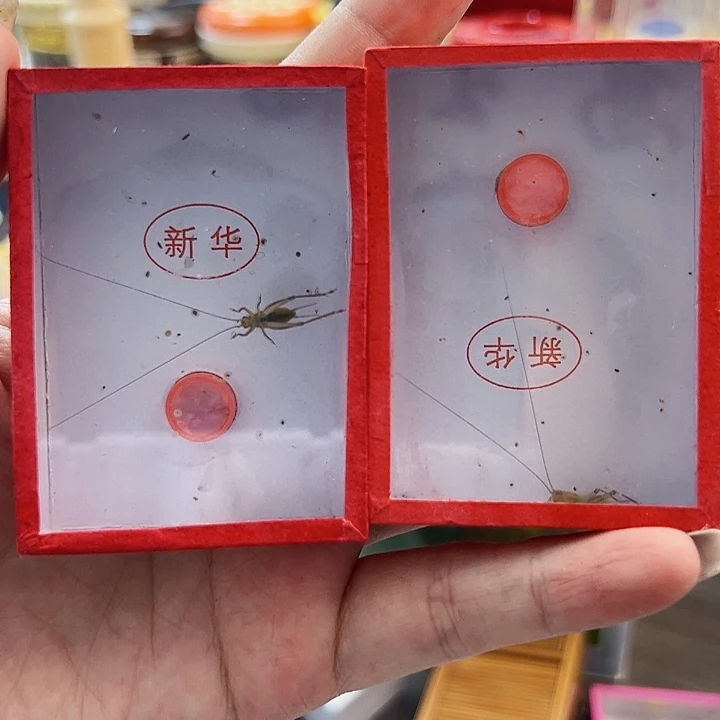 大黄2个哈哈哈哈哈哈哈哈后盖过