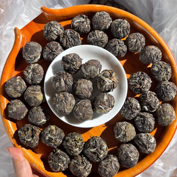 【锅底塘-春白茶龙珠】2024年古树春白茶龙珠