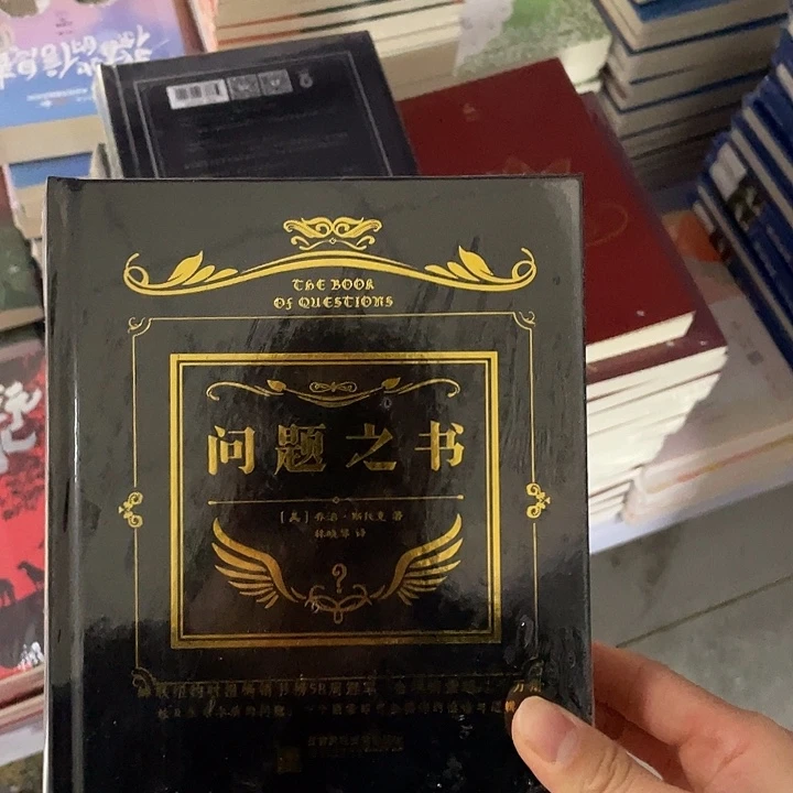 问题之书 精装带塑封