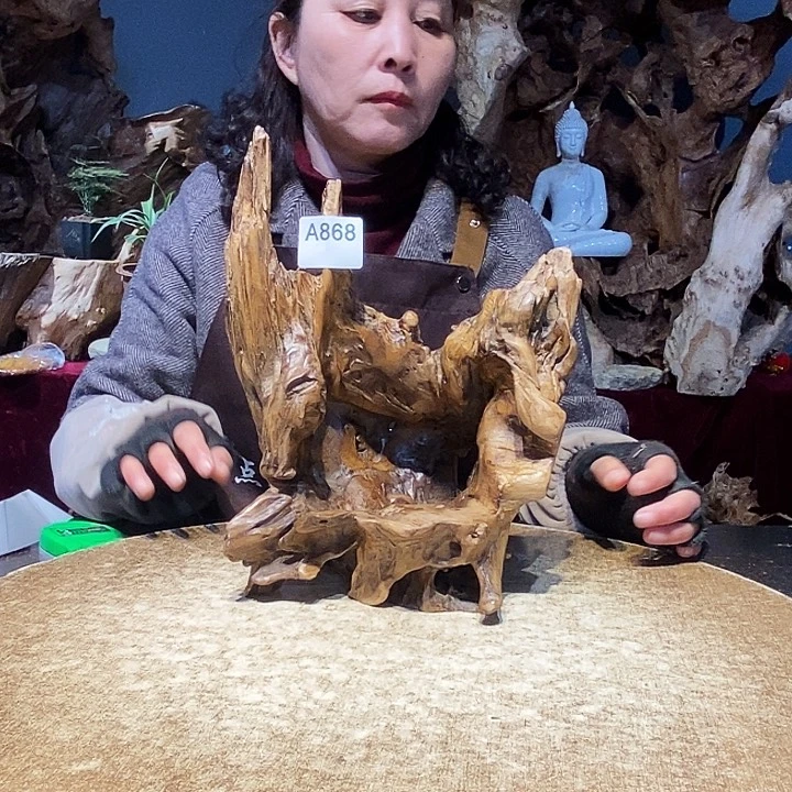 小*七868。株木随行小根艺