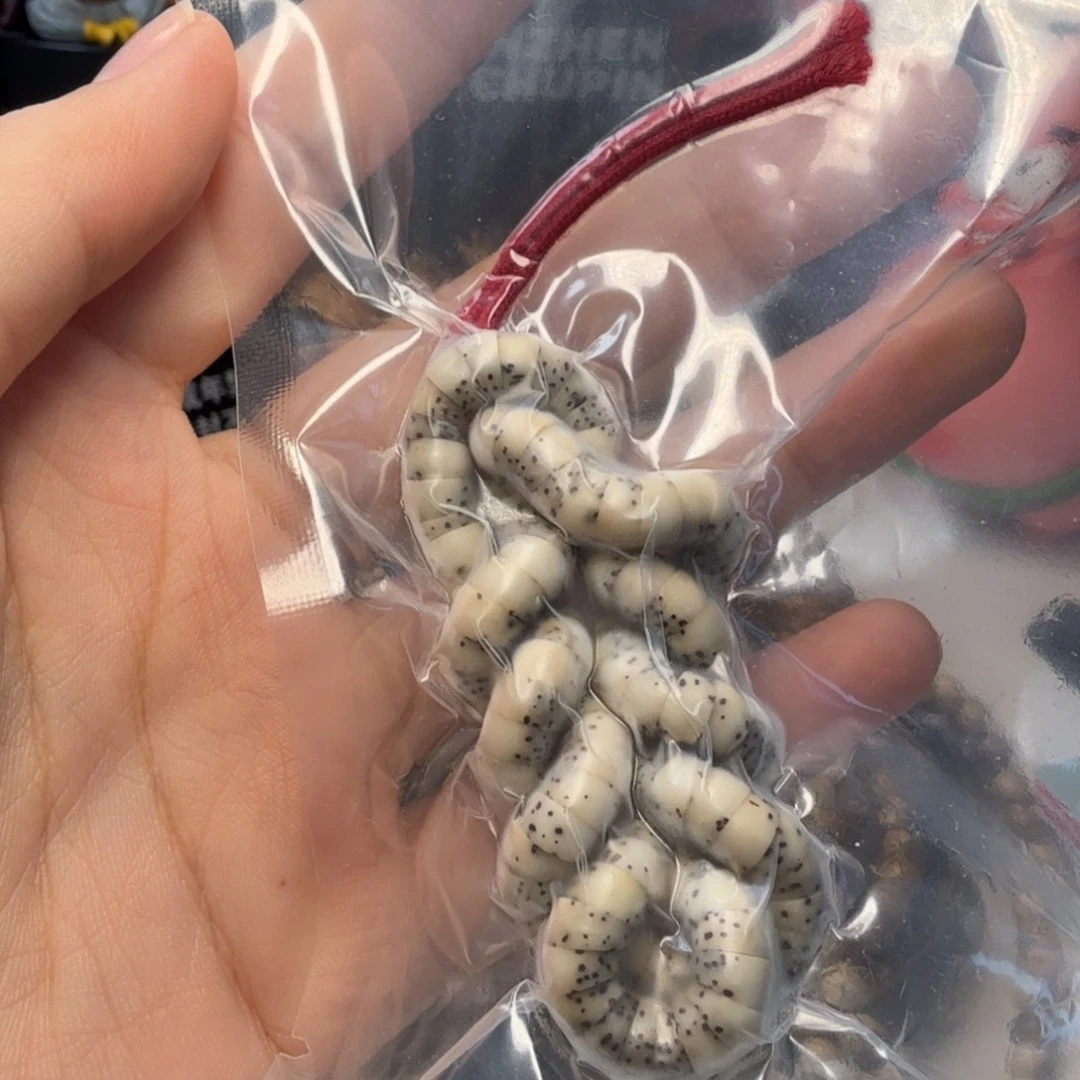 t***d手串星月菩提6石玉大肠