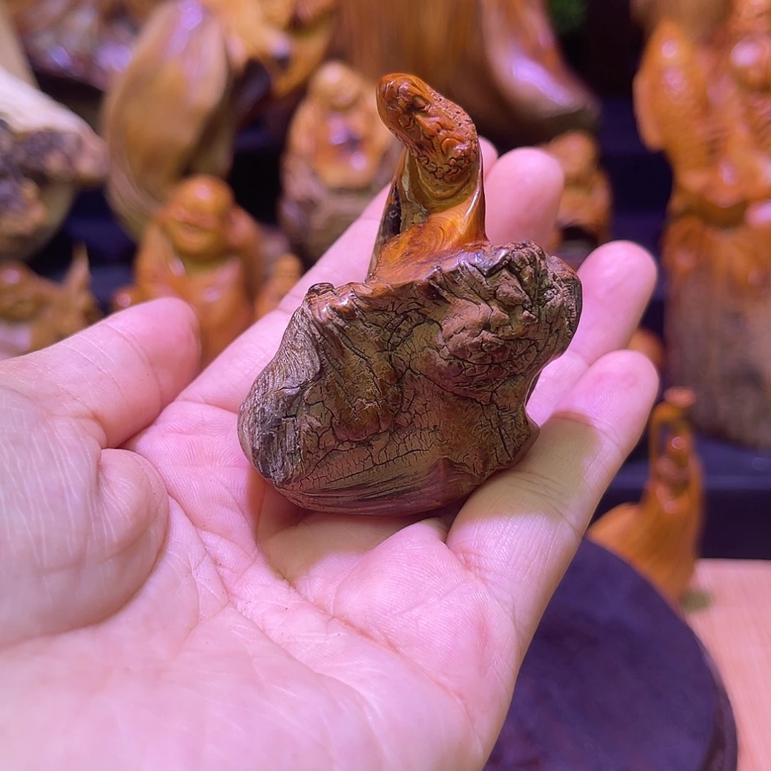 柏木8888888888888888