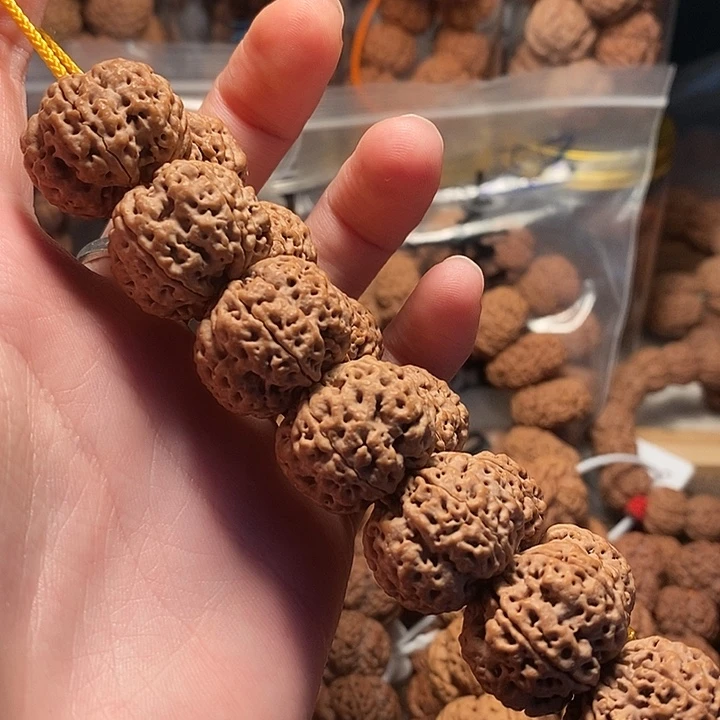 金刚菩提手串23龙牙新树超头