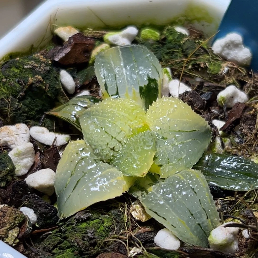 恭喜发财大吉大利0419