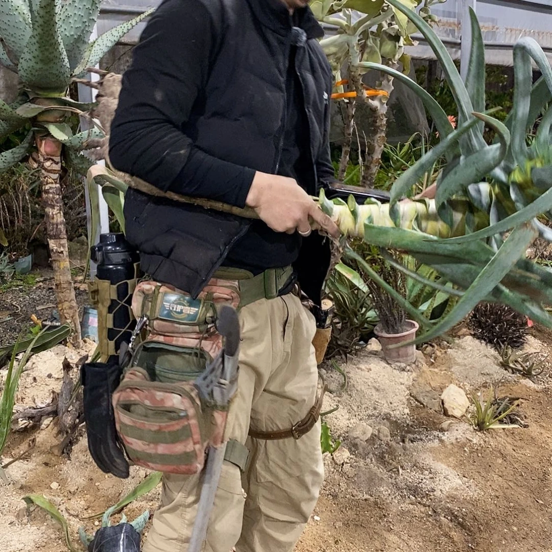 祁***d50号拍品。