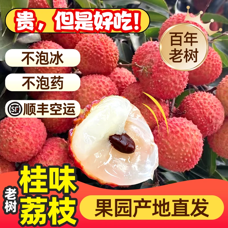 [顺丰空运]高州新鲜水果荔枝桂味正宗老树现摘现发整箱批发