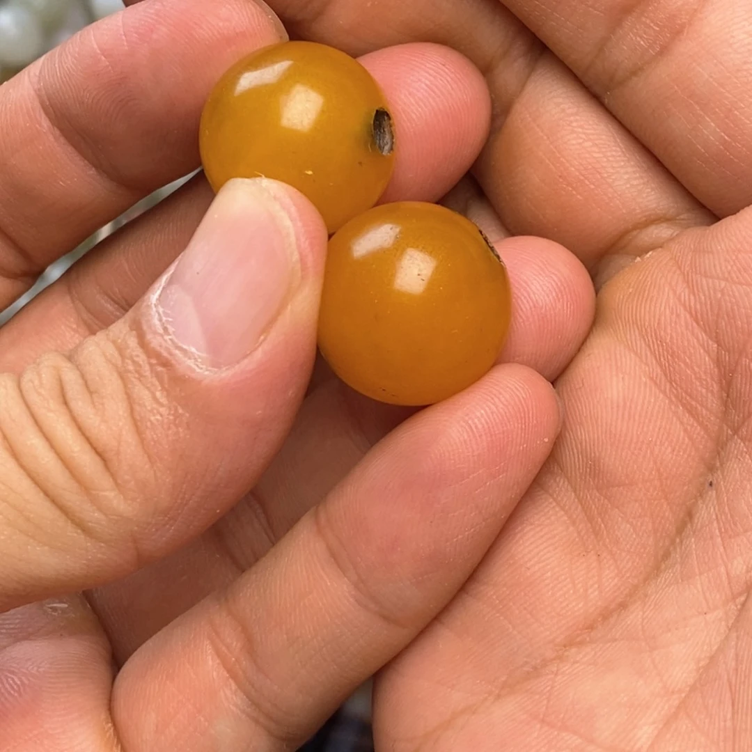 未镶嵌颈饰玛瑙/玉髓人**好