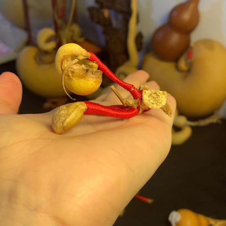 葫芦葫芦真的好漂亮