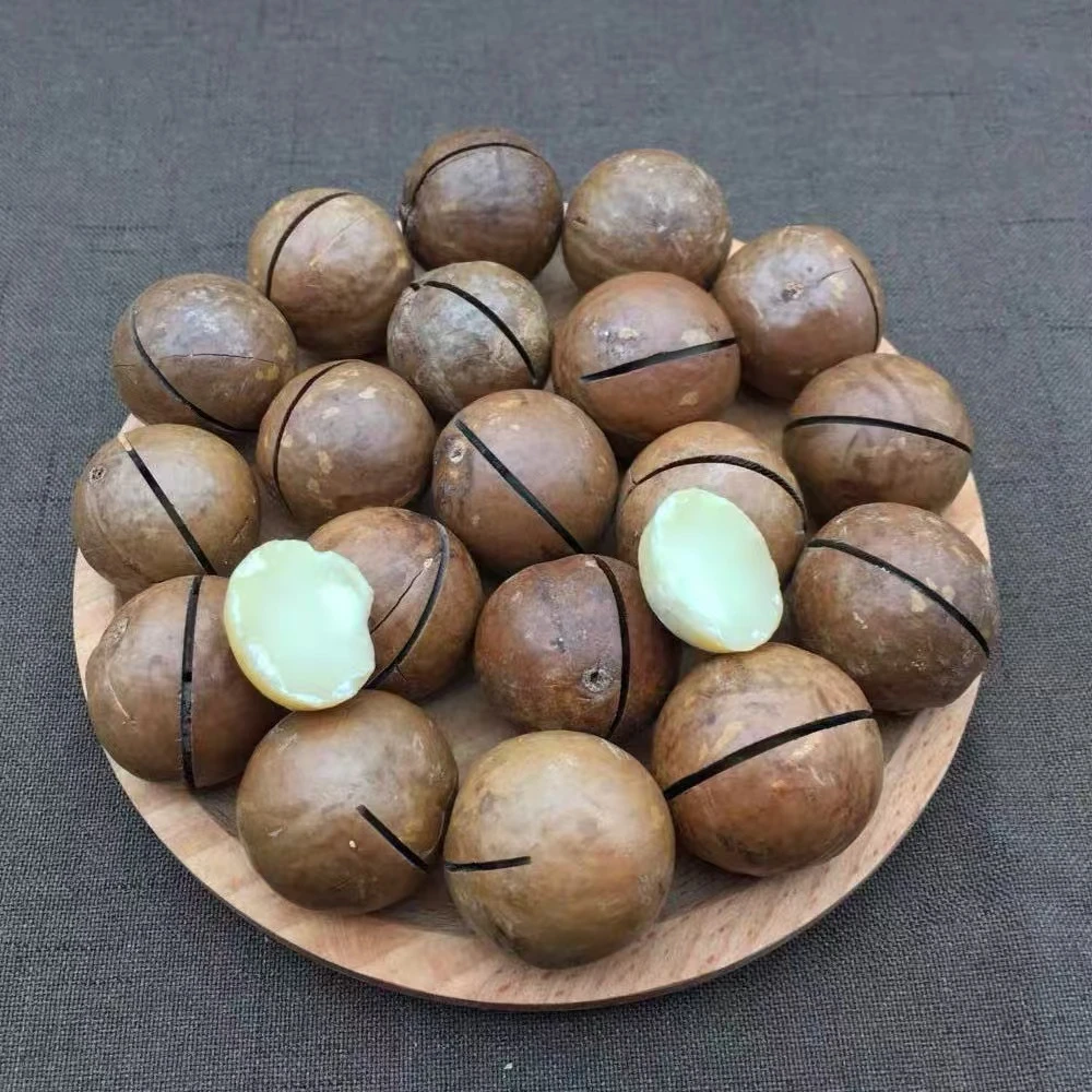 【精选夏威夷果】坚果