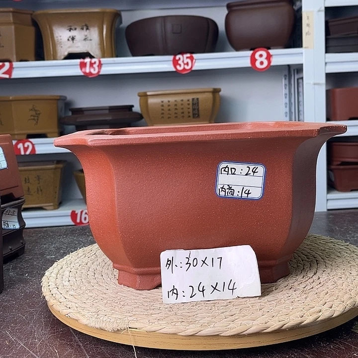 花盆紫砂你在一起