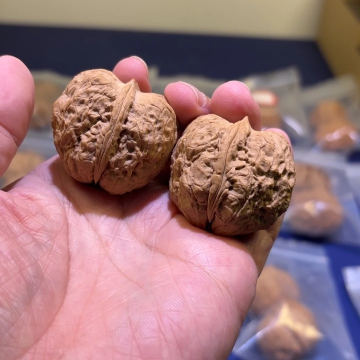 吊坠文玩核桃金锭子