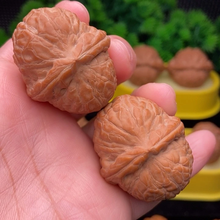 舍利子38全品11111111