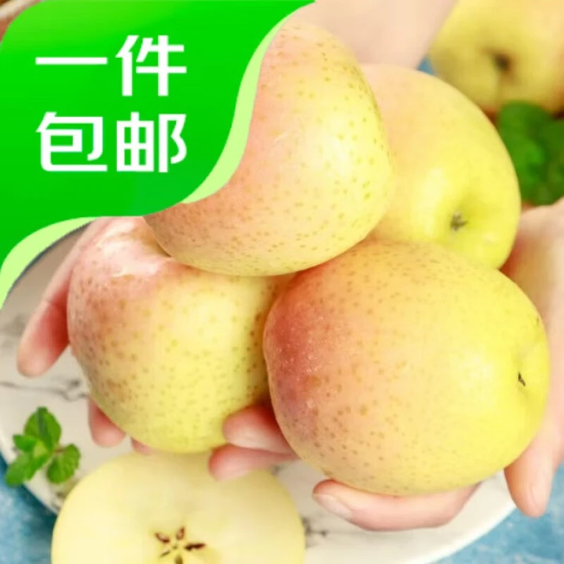 山东雀斑美人苹果净果4.5斤单果205-245g新鲜水果源头直发