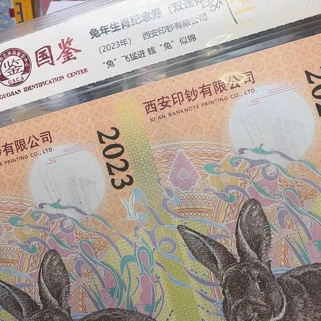 生肖兔双连体券福利福利