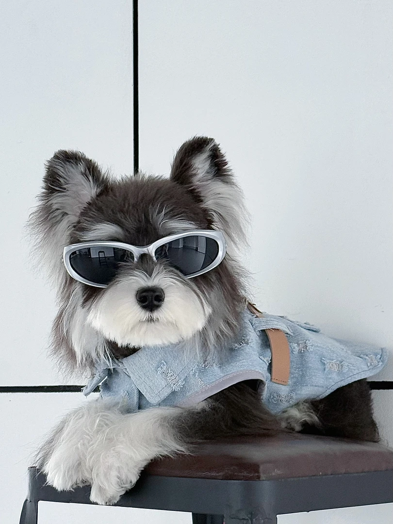 秋冬款高级感狗狗破洞风牛仔加绒外套带牵引扣腰带时尚百搭