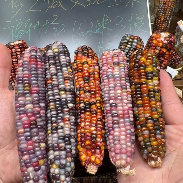 柏香籽/百香籽吊坠¥****1