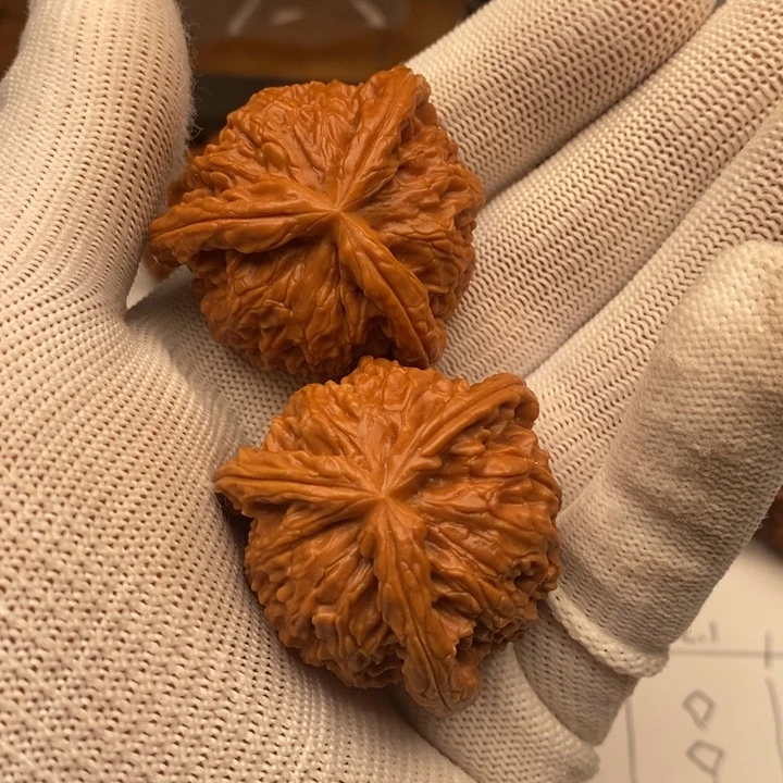 你有一个很优秀呢