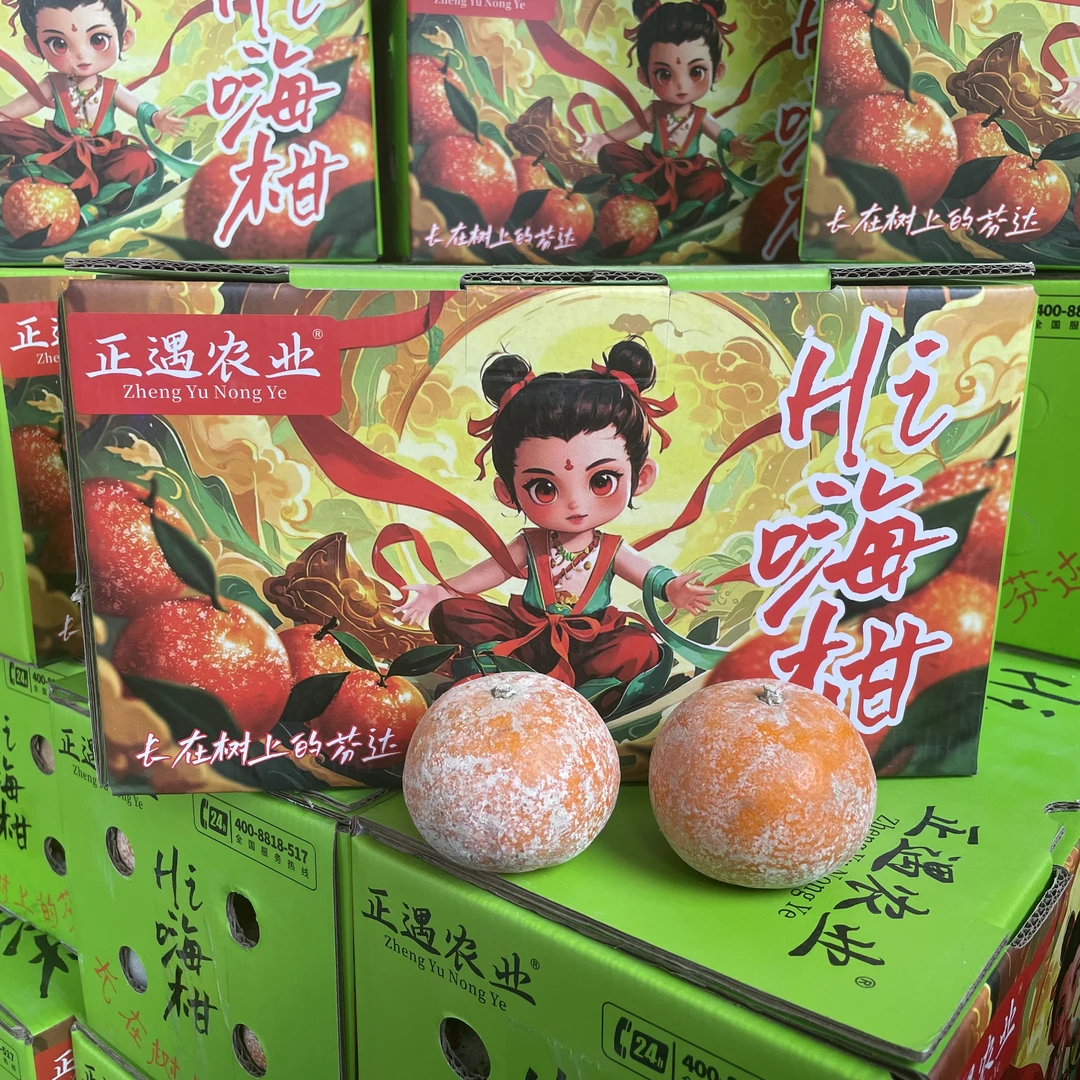 【长在树上的芬达】Hi嗨柑 广西脏脏柑净重4.4斤左右